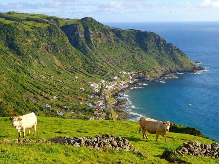Azor International House Villa Ponta Delgada Dış mekan fotoğraf